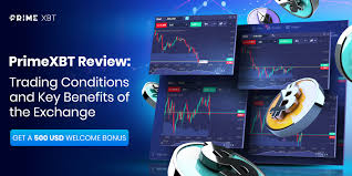 The Future of Trading PrimeXBT UK The Future of Trading PrimeXBT UK