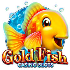 골드피쉬카지노 신뢰와 즐거움을 제공하는 온라인 카지노 가이드 골드피쉬카지노 신뢰와 즐거움을 제공하는 온라인 카지노 가이드