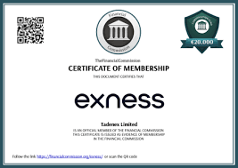 Unveiling the Success of Exness Company in the Trading World